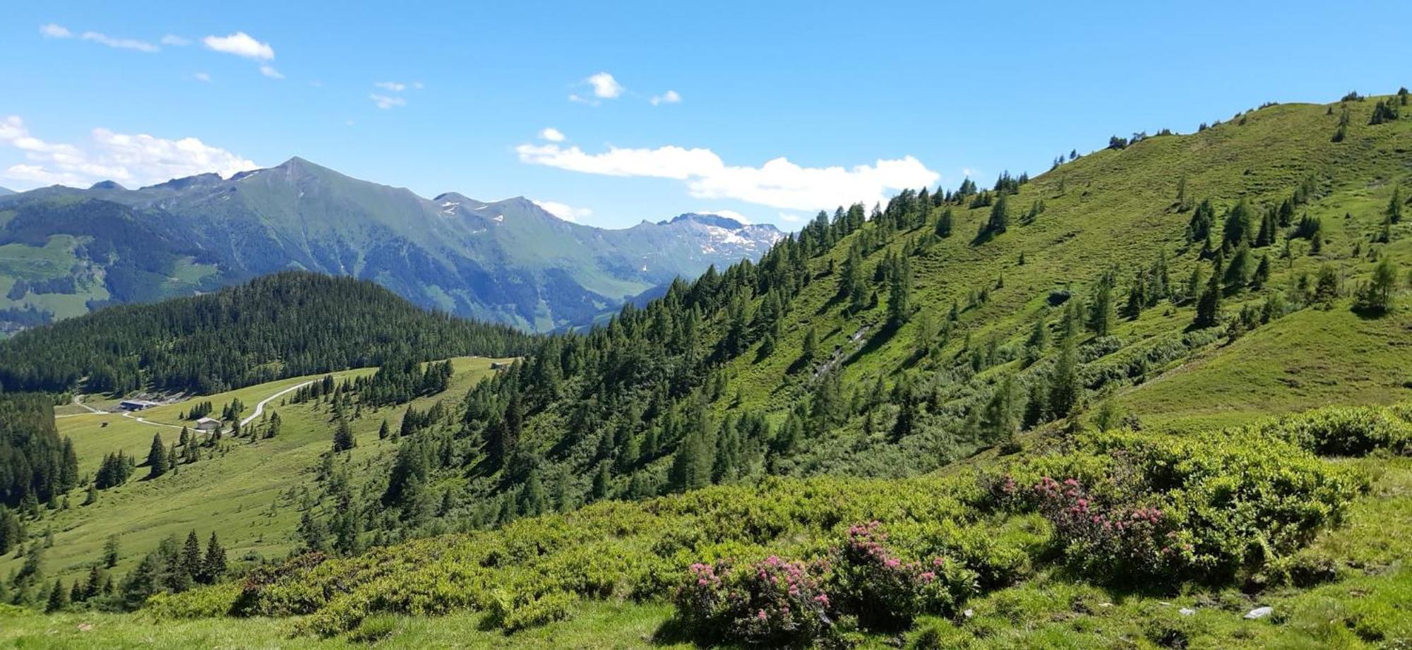 Pension Und Appartement Weinschreiber Rauris Bagian luar foto